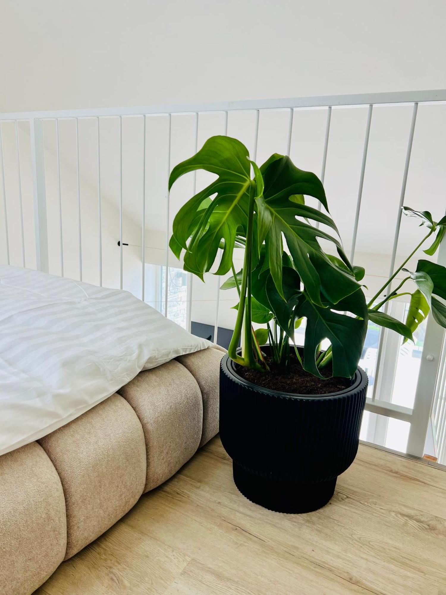 Palavske Apartmany Original Pavlov Eksteriør bilde